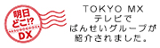 TOKYO MX TV